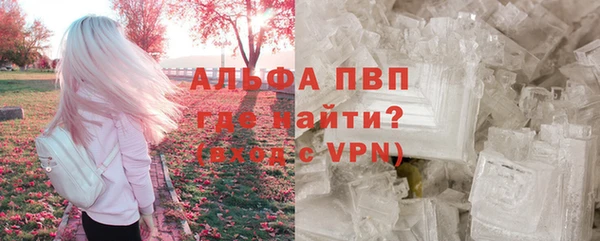 спиды Кукмор