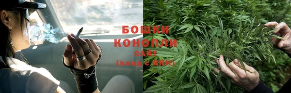 спиды Кукмор