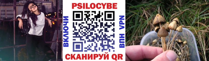 Галлюциногенные грибы мицелий  Купить  Выборг 